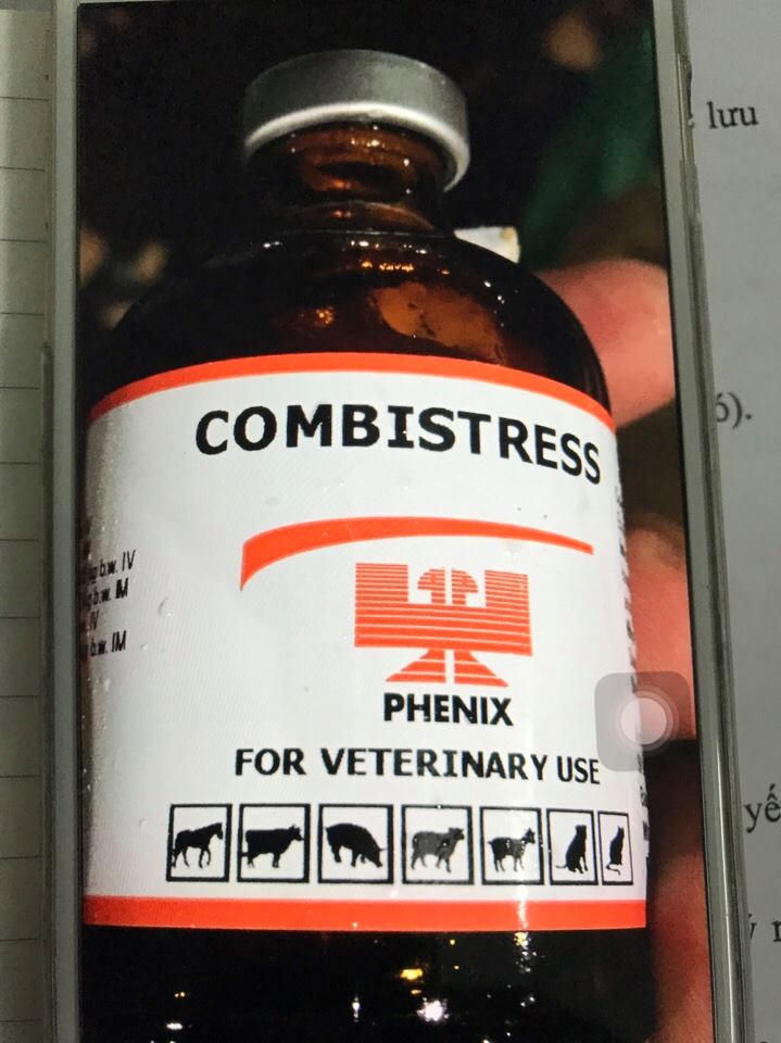 lò mổ, tiêm thuốc vào lợn, dịch gia cầm, kiểm dịch gia cầm lò mổ, tiêm thuốc vào lợn, dịch gia cầm, kiểm dịch gia cầm