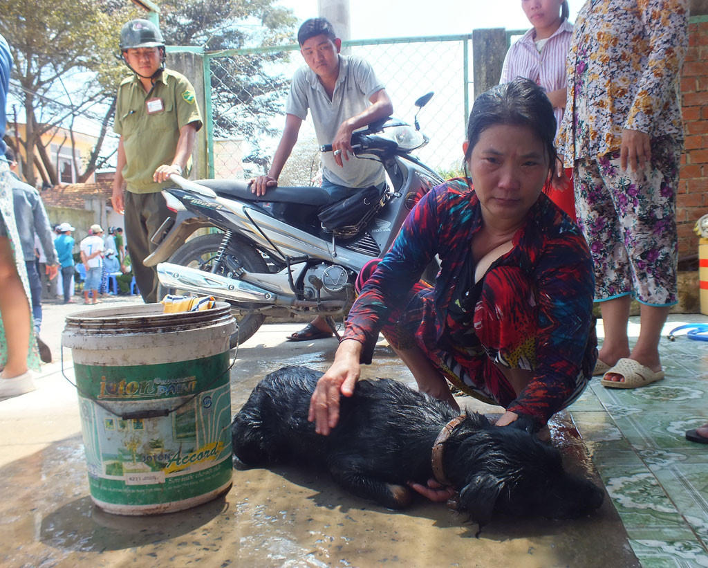Rò khí amoniac, 4 người nhập viên, chó gà chết la liệt 2