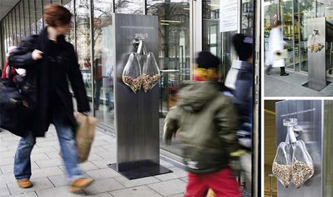 Những hình ảnh khiến ta rùng mình về tác hại của thuốc lá