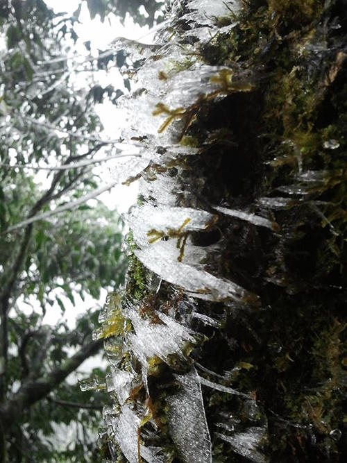 Hà Nội mới vào thu, cây cỏ đã đóng băng trên đỉnh Fansipan