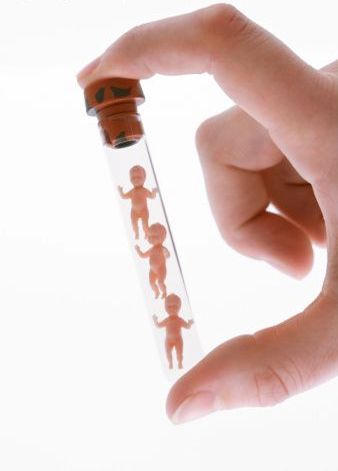 Image result for thụ tinh ống nghiệm