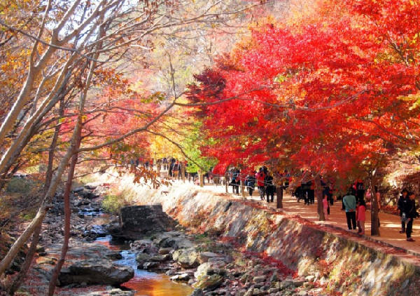 Những địa điểm lý tưởng để ngắm mùa thu ở Hàn Quốc