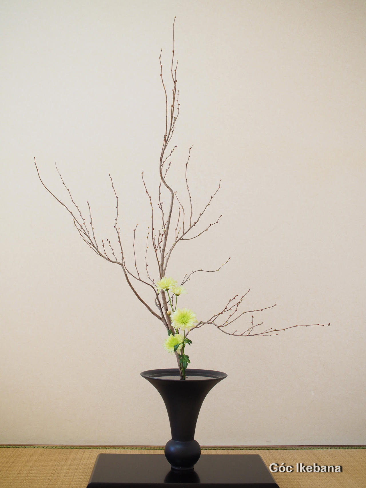 Cô gái mang nghệ thuật cắm hoa Ikebana về Việt Nam 
