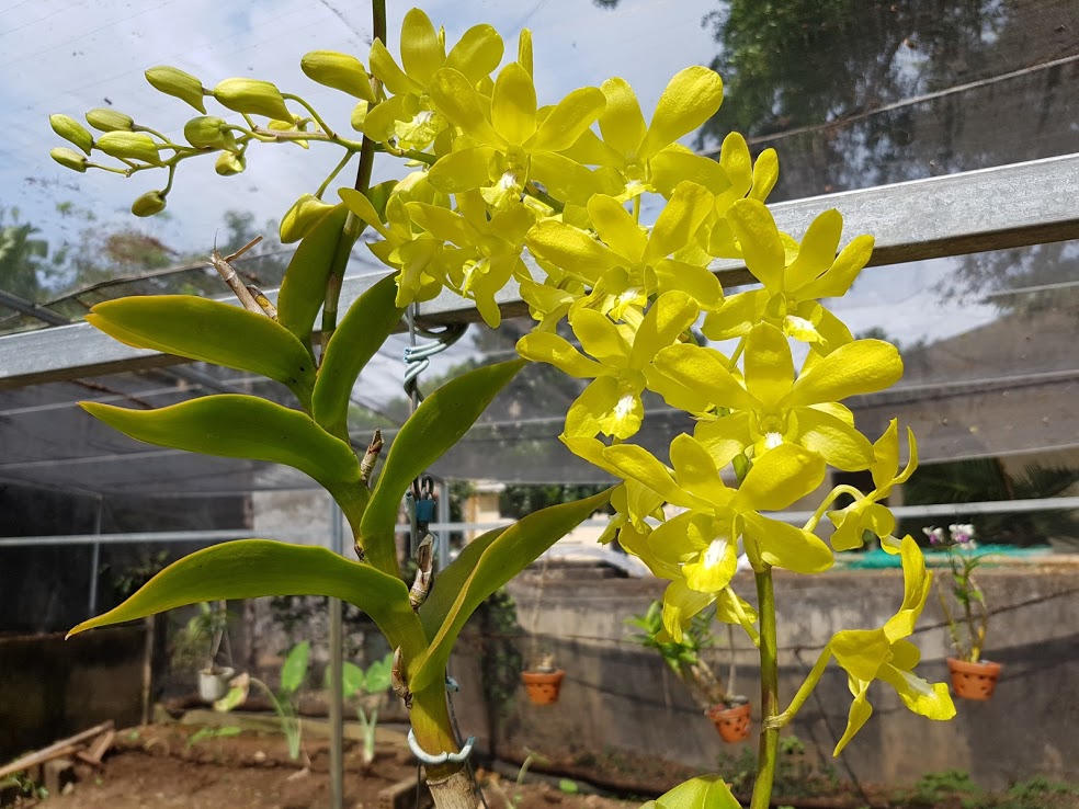 Lãng mạn như lính biên phòng