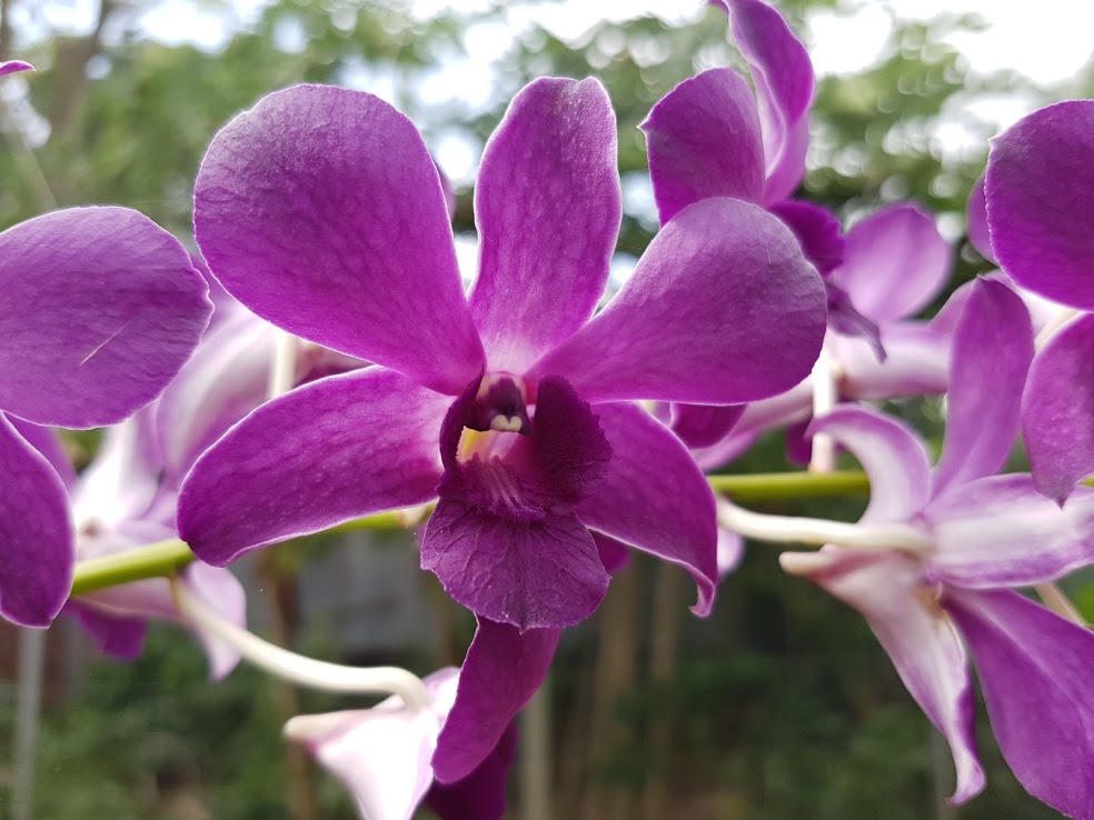 Lãng mạn như lính biên phòng