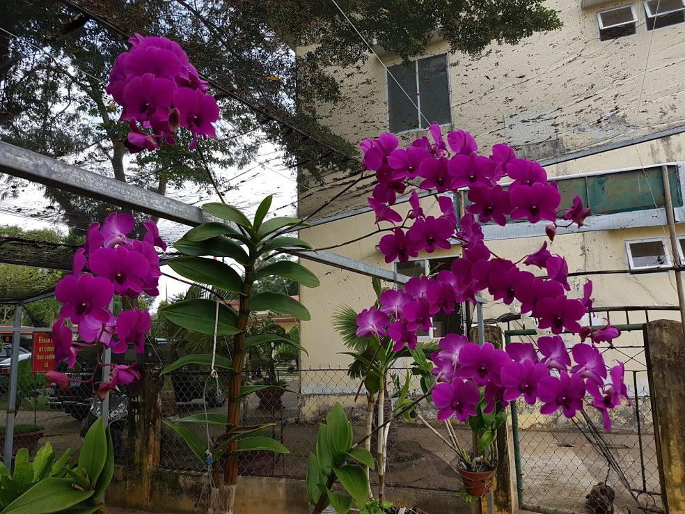 Lãng mạn như lính biên phòng