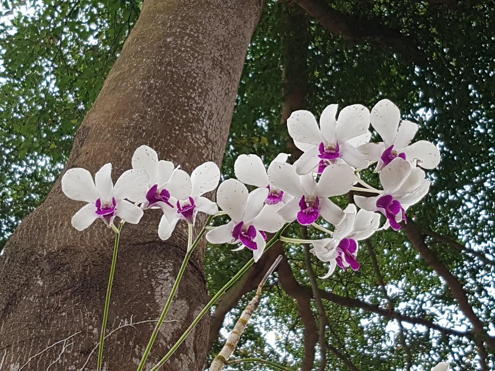 Lãng mạn như lính biên phòng