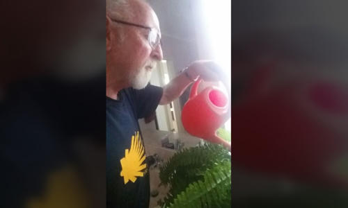 ÔngNigel Fitton rất thích thú khi phát hiện trò đùa của vợ nên vẫn tiếp tục tưới nước cho cây giả để con gái chụp hình. Ảnh:CTVNews.