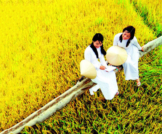 Thương lấy đồng quê - Ảnh 1.