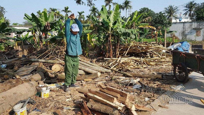 Cận cảnh quy trình sản xuất bột than tre để làm thuốc... chữa ung thư - ảnh 2