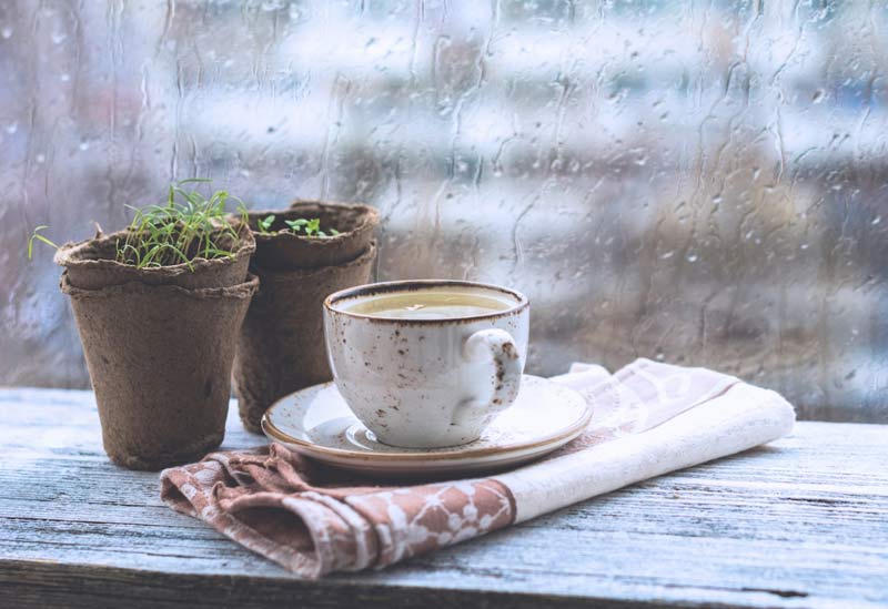 Đồng nghiệp,Ngoại tình,Góc công sở