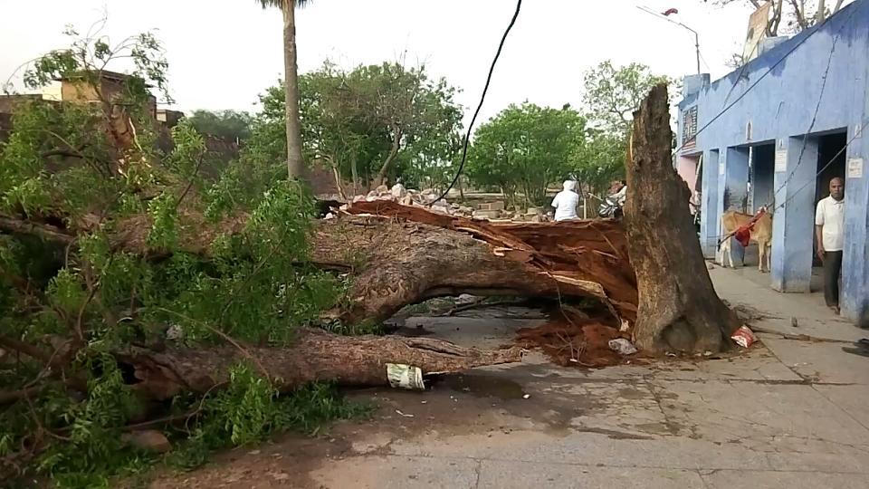 Bão cát kinh hoàng 'nuốt chửng' Tây Bắc Ấn Độ, hơn 80 người thiệt mạng