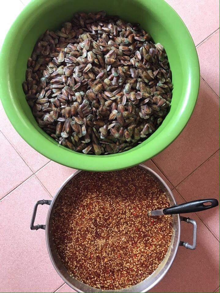 Đến Hà Tiên ngất ngây với “Cà Xỉu”