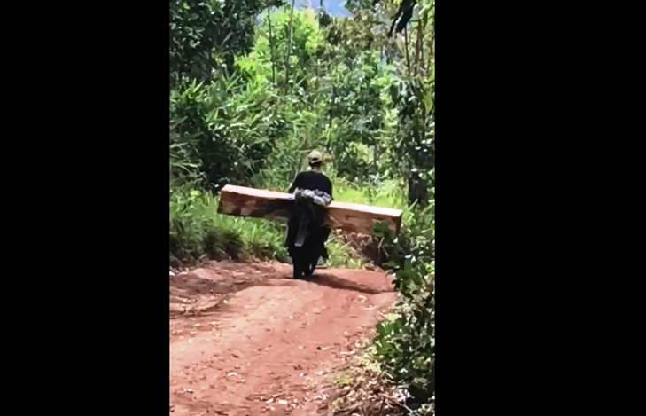 Xe chở gỗ ngang nhiên qua trạm kiểm soát lâm sản, rừng Mang Yang tiếp tục bị tàn phá