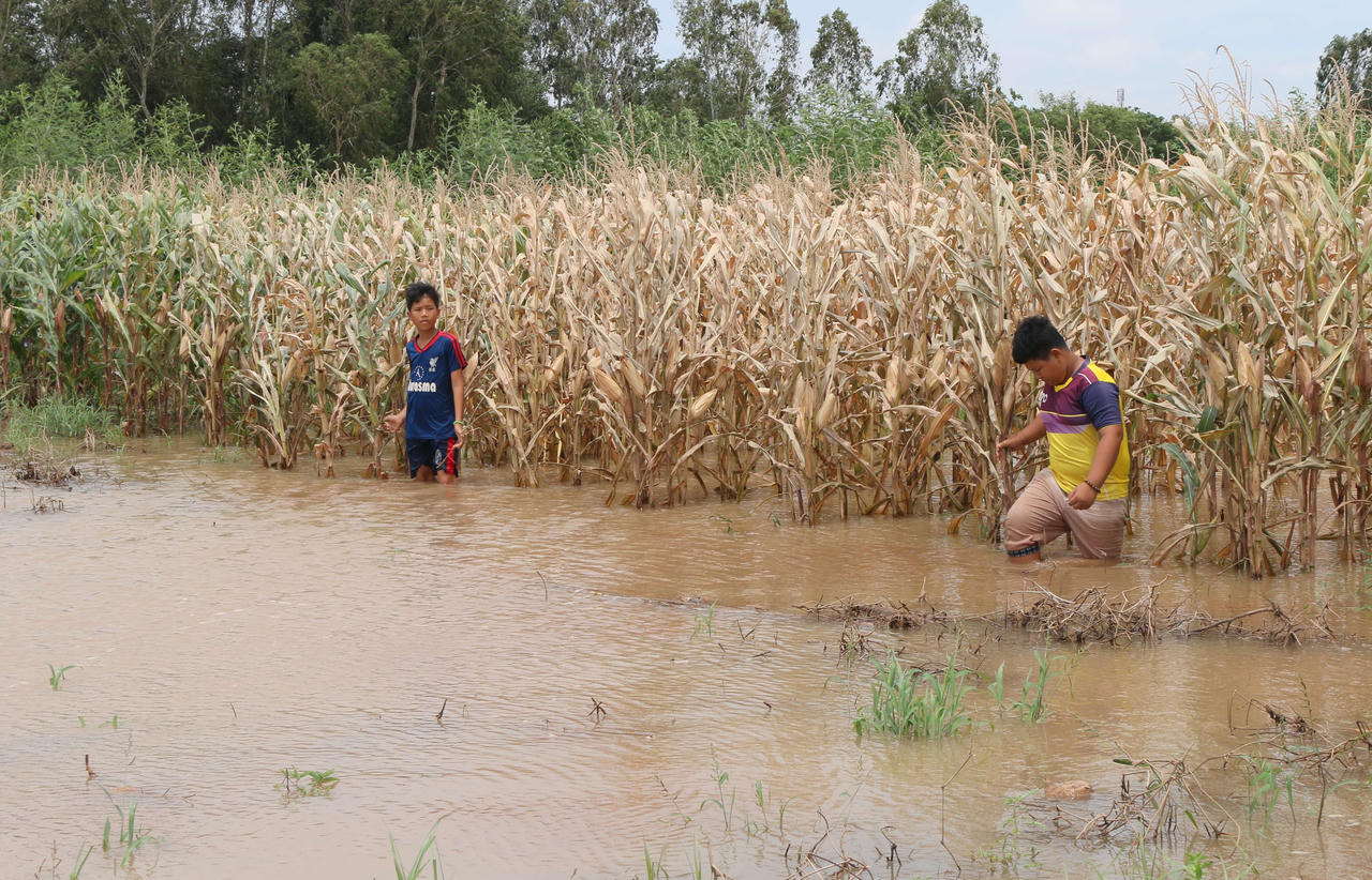 Hơn 170 km bờ sông, bờ biển ở phía Nam bị sạt lở