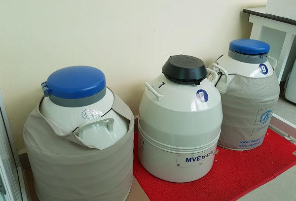 Hà Nội: Bé trai gần 4kg chào đời từ trứng và tinh trùng đông lạnh