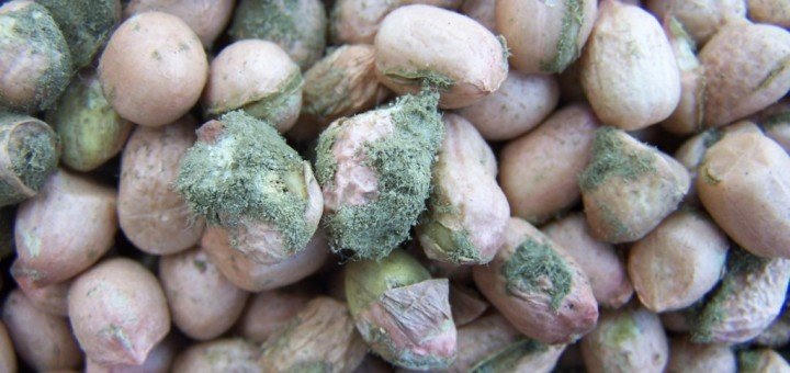 Loại chất độc gây ung thư trong bếp mọi gia đình, bạn có biết để loại bỏ?