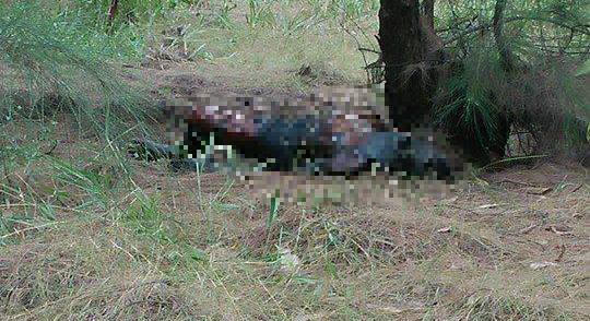 Tin nhanh - Hoảng hồn phát hiện xác cụ ông chết cháy