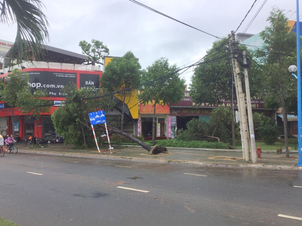 Bà Rịa - Vũng Tàu  hứng chịu thiệt hại sau cơn bão số 9