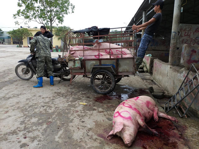 nhieu tinh co tinh giau, dich lo mom long mong bung phat hinh anh 2