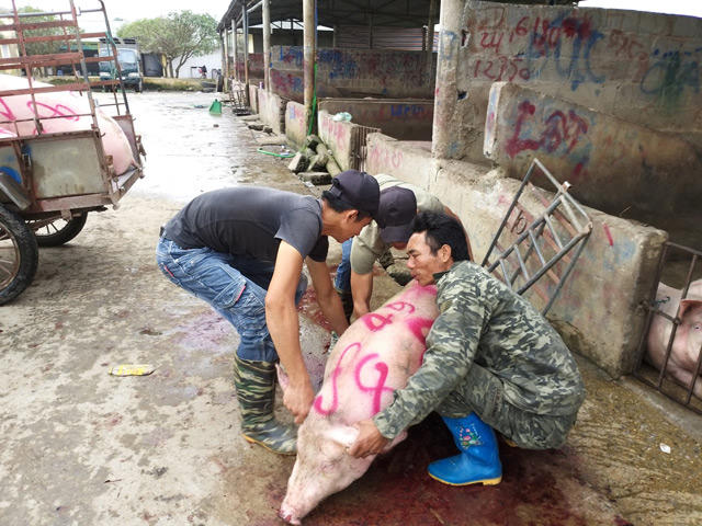 nhieu tinh co tinh giau, dich lo mom long mong bung phat hinh anh 3