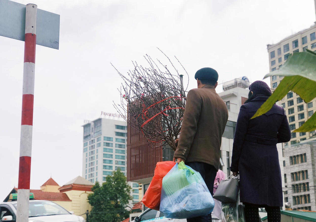 Hoa đào đã mang Xuân về trên phố