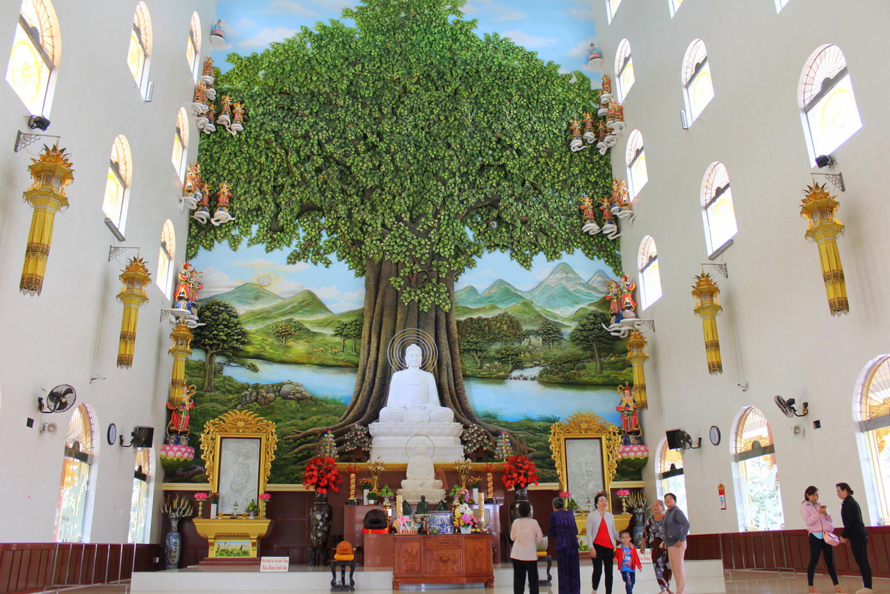 Ngày Xuân dạo chơi trên đỉnh Thiên Cấm