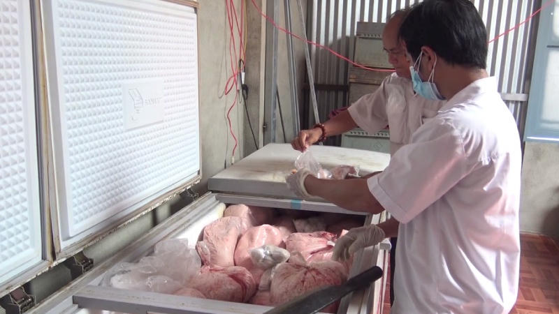 Phát hiện lượng lớn thịt nhiễm dịch tả lợn Châu Phi tại cơ sở sản xuất giò chả