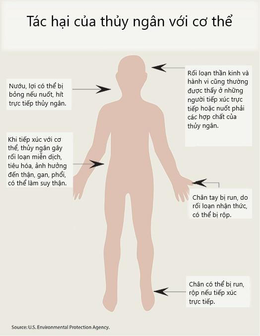 To chuc Y te The gioi canh bao gi ve nhiem doc thuy ngan? hinh anh 2 