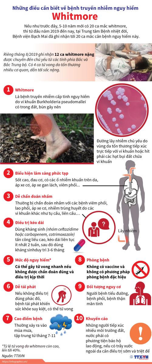 Lưu ý về vi khuẩn Whitmore 'ăn thịt người' 