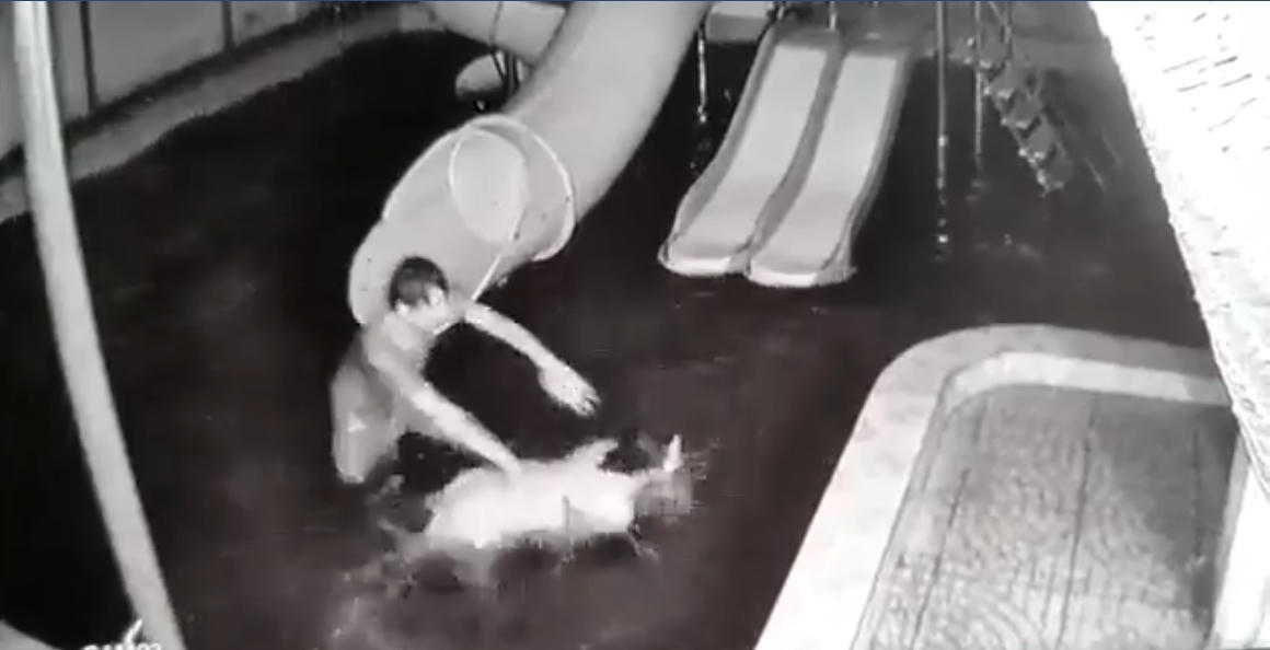 Khởi tố người chồng đánh, dìm vợ xuống nước