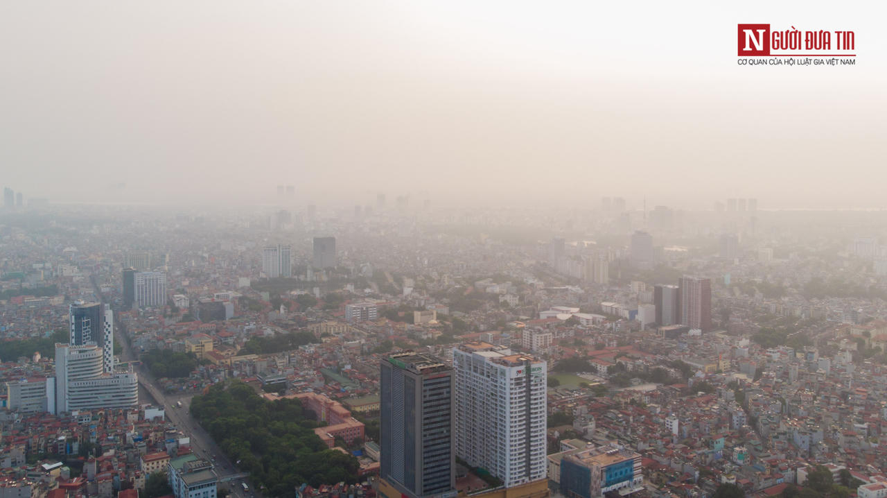 Dân sinh - Sắm “bùa hộ mệnh” để thanh lọc không khí, coi chừng ăn 'quả đắng'