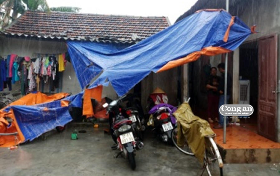 Nhân viên thủ thư trường học nghi hiếp dâm cô gái tật nguyền