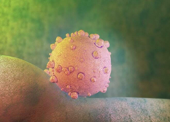 Tế bào ung thư tụy. Ảnh: Pancreatic Cancer Action Network