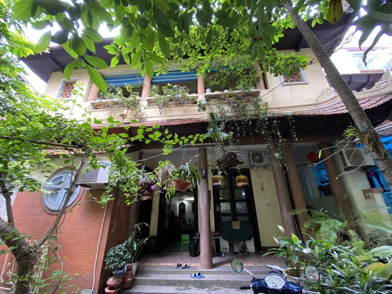 Ấn tượng những không gian xanh mát như vườn quê giữa lòng phố cổ Hà Nội