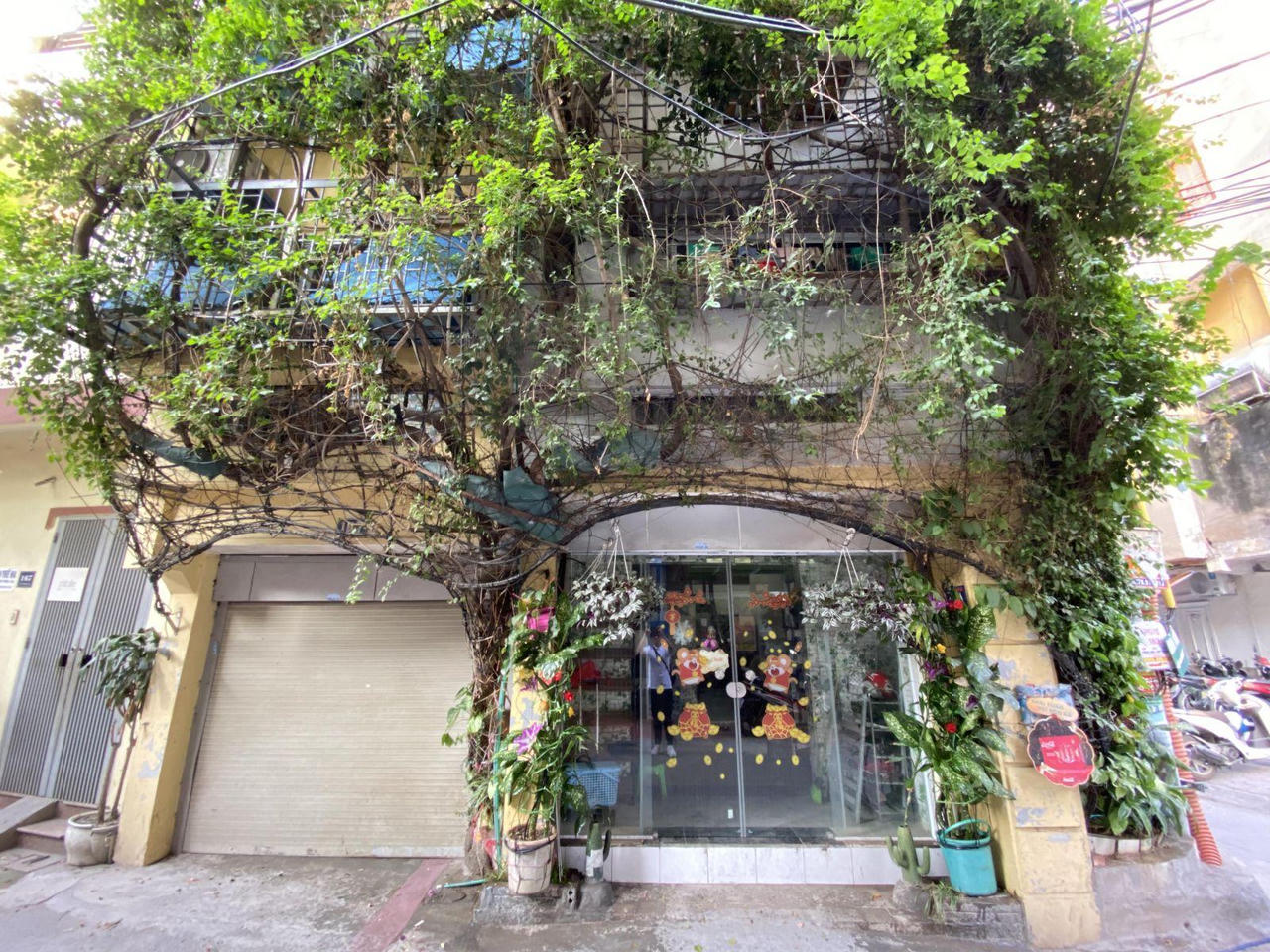 Ấn tượng những không gian xanh mát như vườn quê giữa lòng phố cổ Hà Nội