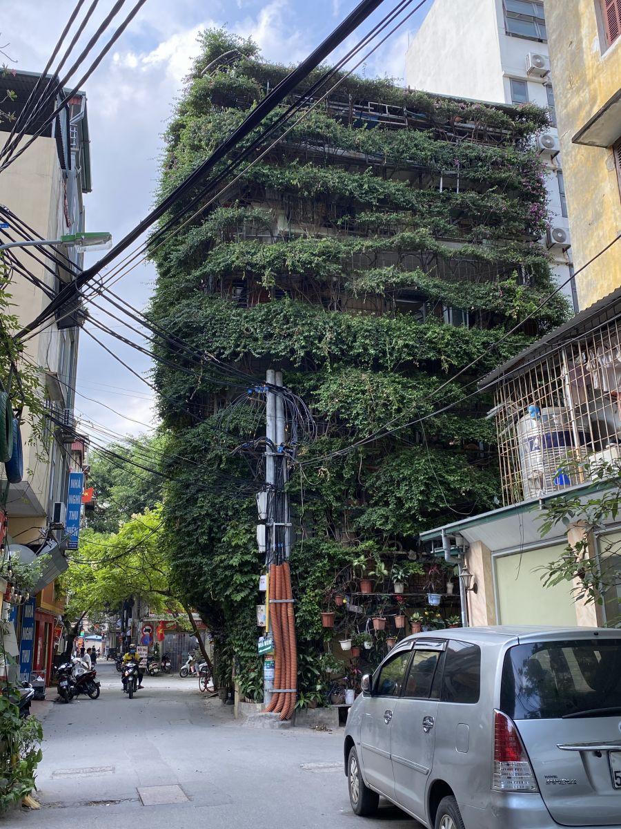 Ấn tượng những không gian xanh mát như vườn quê giữa lòng phố cổ Hà Nội