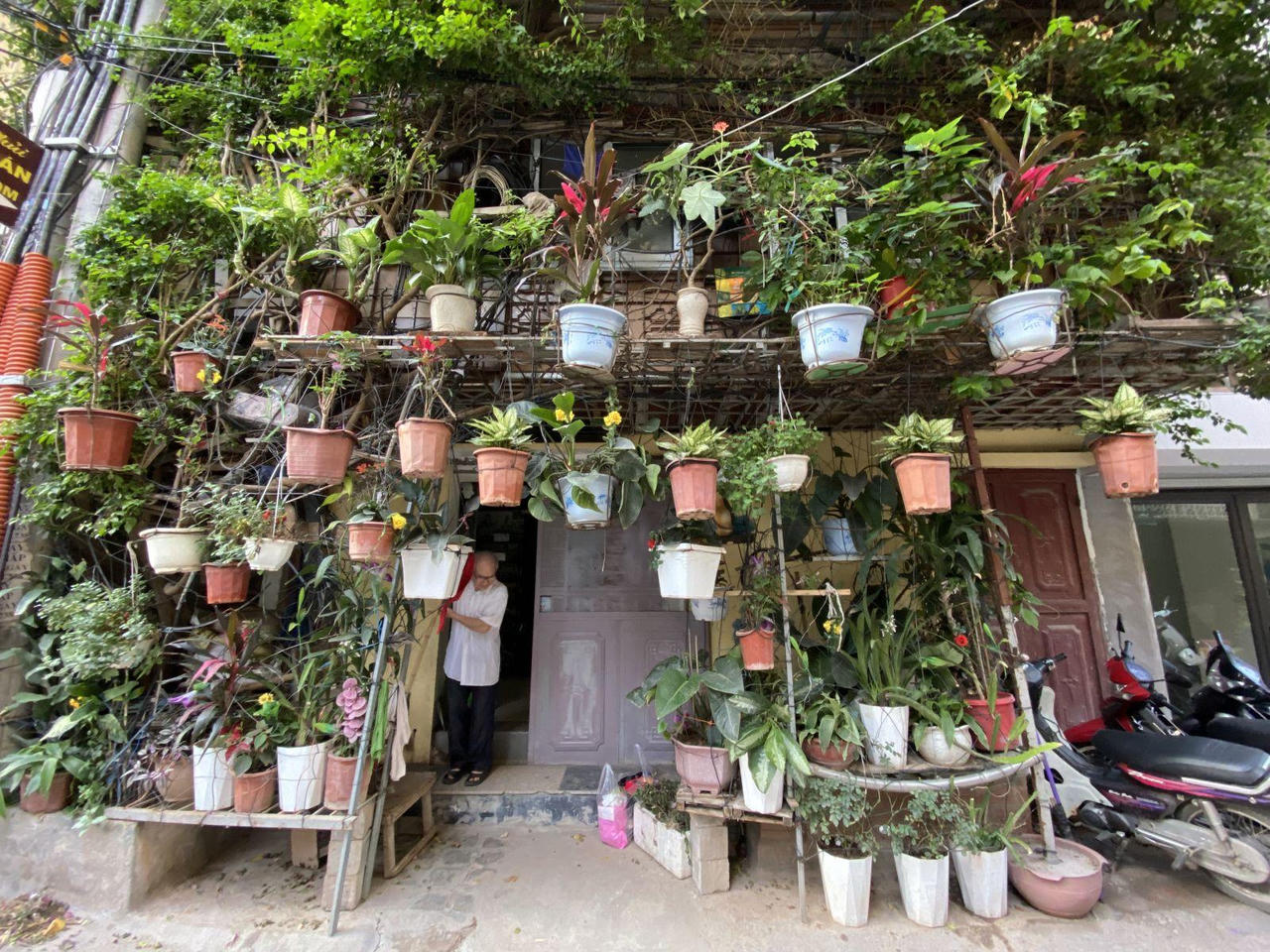 Ấn tượng những không gian xanh mát như vườn quê giữa lòng phố cổ Hà Nội