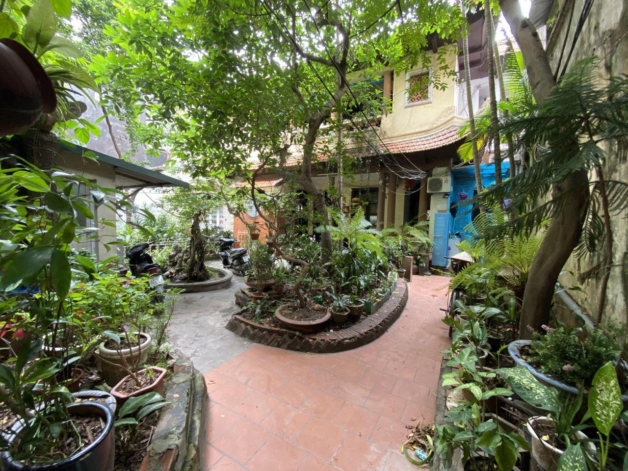 Ấn tượng những không gian xanh mát như vườn quê giữa lòng phố cổ Hà Nội