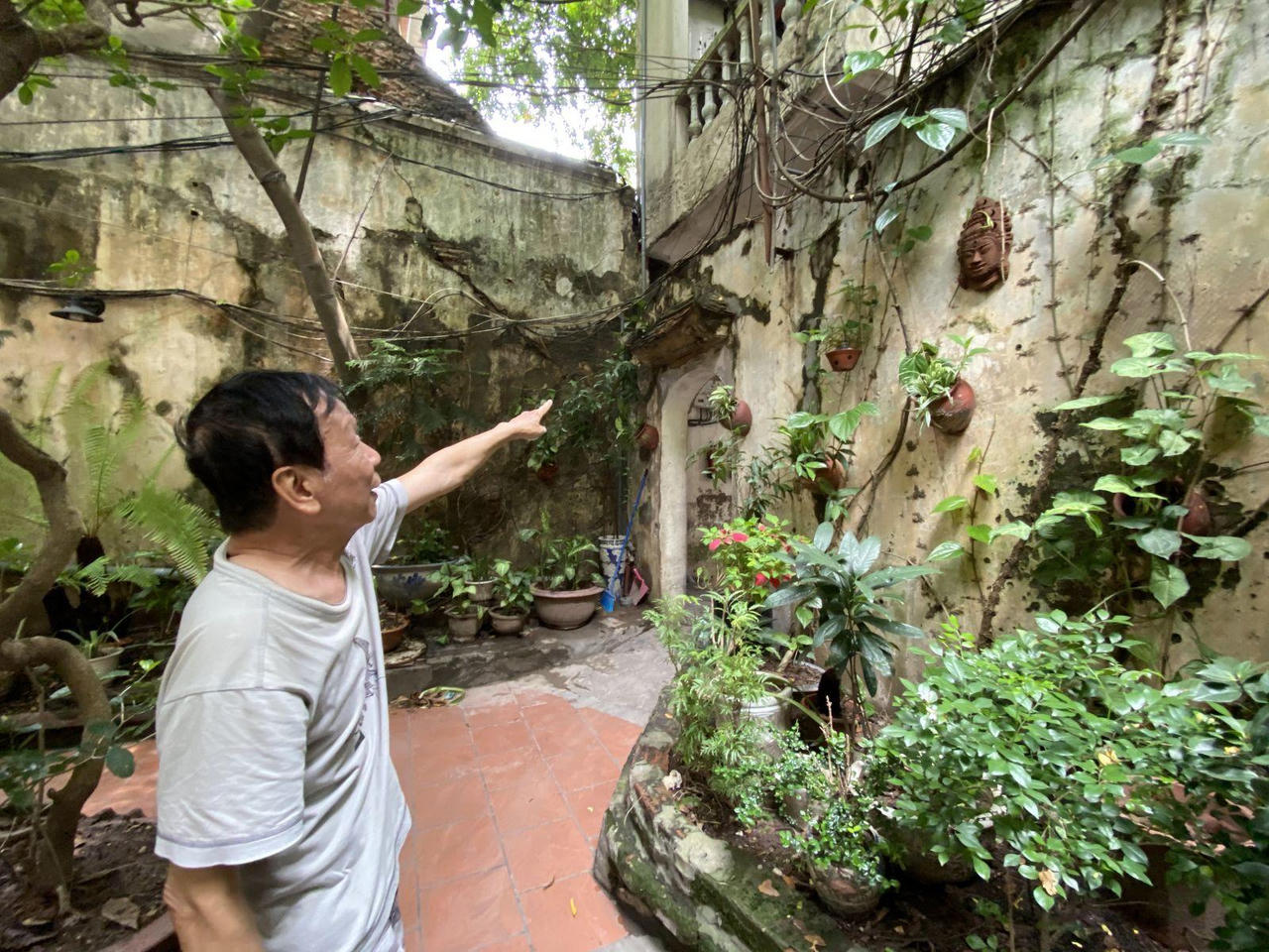 Ấn tượng những không gian xanh mát như vườn quê giữa lòng phố cổ Hà Nội