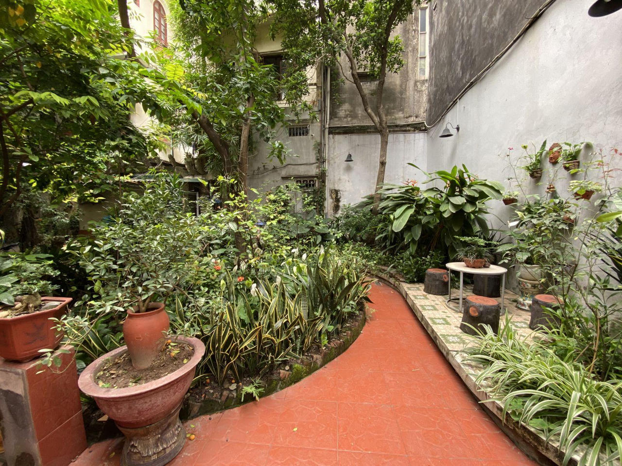 Ấn tượng những không gian xanh mát như vườn quê giữa lòng phố cổ Hà Nội