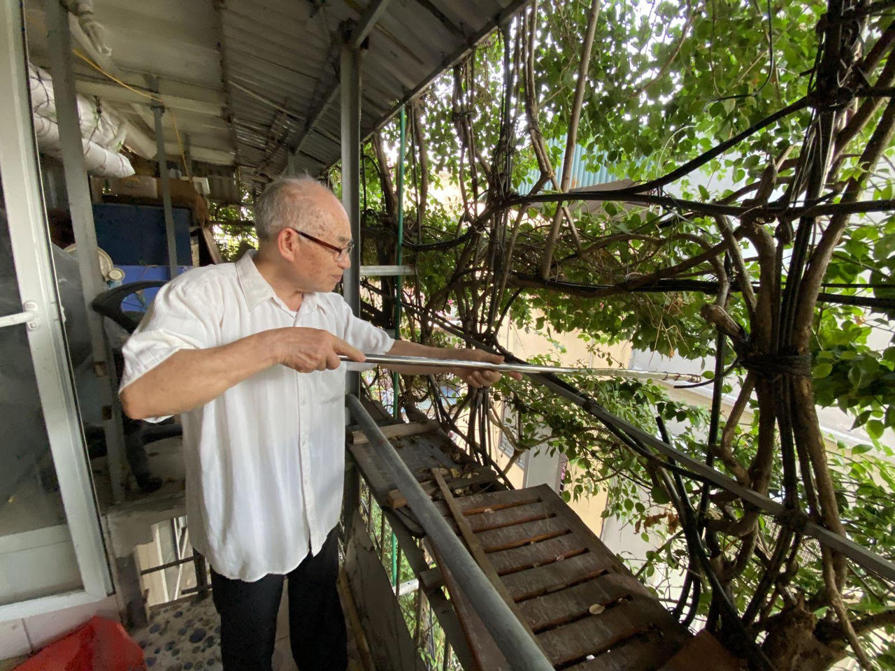 Ấn tượng những không gian xanh mát như vườn quê giữa lòng phố cổ Hà Nội