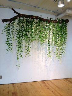 Những mảng tường màu xanh lá