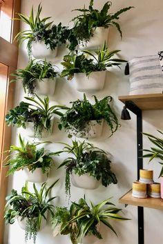 Những mảng tường màu xanh lá