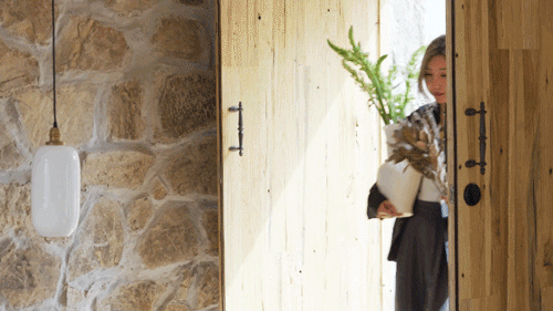 6 người bạn 9x từ chức rời thành phố, thuê đất ở nông thôn cùng nhau làm vườn vui sống