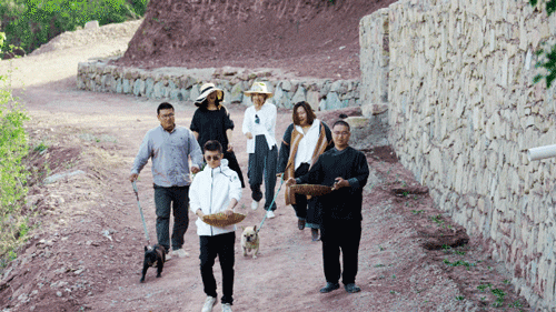 6 người bạn 9x từ chức rời thành phố, thuê đất ở nông thôn cùng nhau làm vườn vui sống