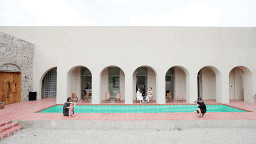 6 người bạn 9x từ chức rời thành phố, thuê đất ở nông thôn cùng nhau làm vườn vui sống