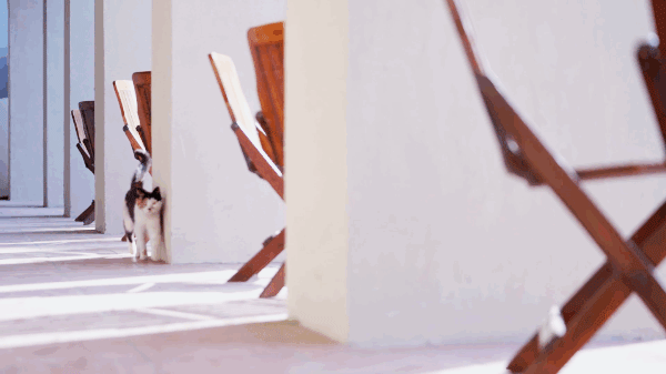 6 người bạn 9x từ chức rời thành phố, thuê đất ở nông thôn cùng nhau làm vườn vui sống