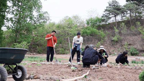 6 người bạn 9x từ chức rời thành phố, thuê đất ở nông thôn cùng nhau làm vườn vui sống