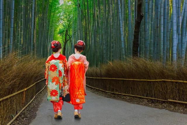 Lạc lối trong rừng tre Arashiyama - niềm tự hào của cố đô Kyoto